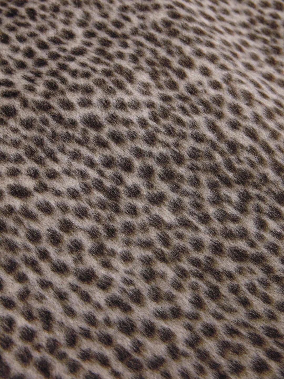 014539.BIA_4.jpg